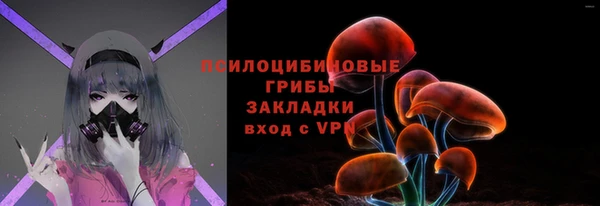СК Арсеньев