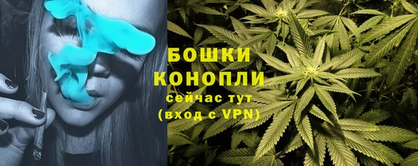 молекула духа Аркадак