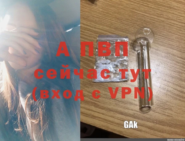 СК Арсеньев